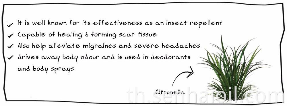 citronella oil